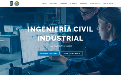 Diseñador de páginas web, diseñador web, diseñador web Temuco