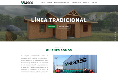 Diseñador de páginas web, diseñador web, diseñador web Temuco