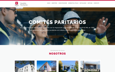 Diseñador de páginas web, diseñador web, diseñador web Temuco