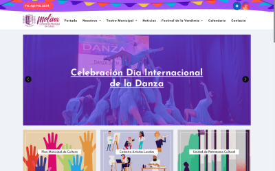 Diseñador de páginas web, diseñador web, diseñador web Temuco