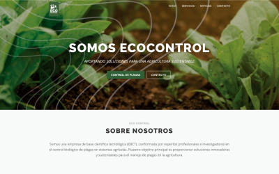 Diseñador de páginas web, diseñador web, diseñador web Temuco