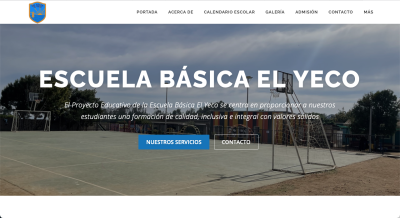 Diseñador de páginas web, diseñador web, diseñador web Temuco