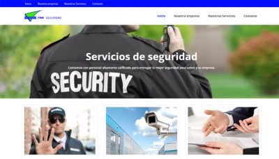 Diseñador de páginas web, diseñador web, diseñador web Temuco