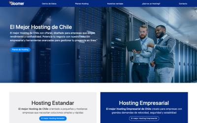 Diseñador de páginas web, diseñador web, diseñador web Temuco