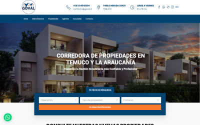 Diseñador de páginas web, diseñador web, diseñador web Temuco