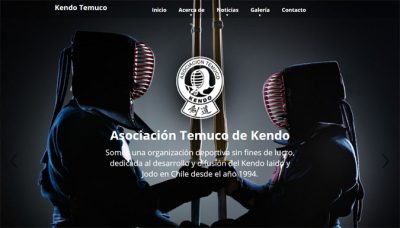 Diseñador de páginas web, diseñador web, diseñador web Temuco