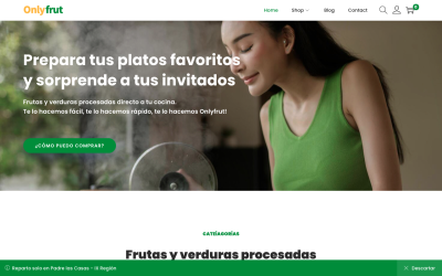 Diseñador de páginas web, diseñador web, diseñador web Temuco