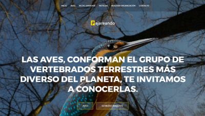 Diseñador de páginas web, diseñador web, diseñador web Temuco