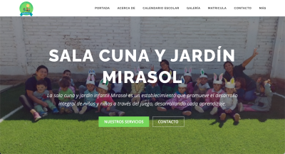 Diseñador de páginas web, diseñador web, diseñador web Temuco