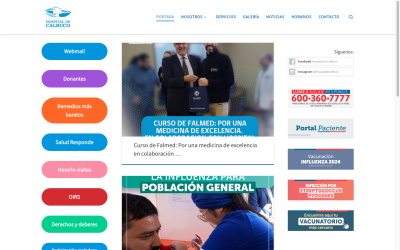 Diseñador de páginas web, diseñador web, diseñador web Temuco