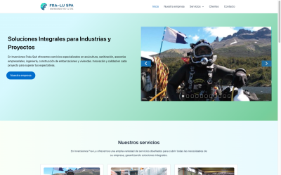 Diseñador de páginas web, diseñador web, diseñador web Temuco