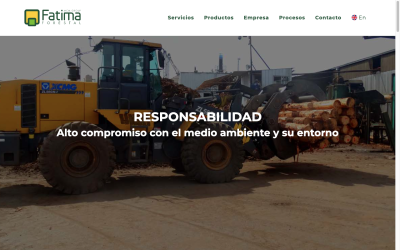 Diseñador de páginas web, diseñador web, diseñador web Temuco