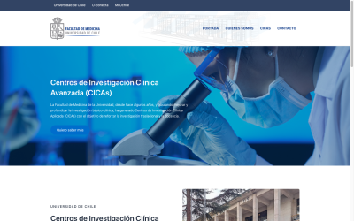 Diseñador de páginas web, diseñador web, diseñador web Temuco
