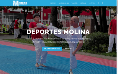Diseñador de páginas web, diseñador web, diseñador web Temuco